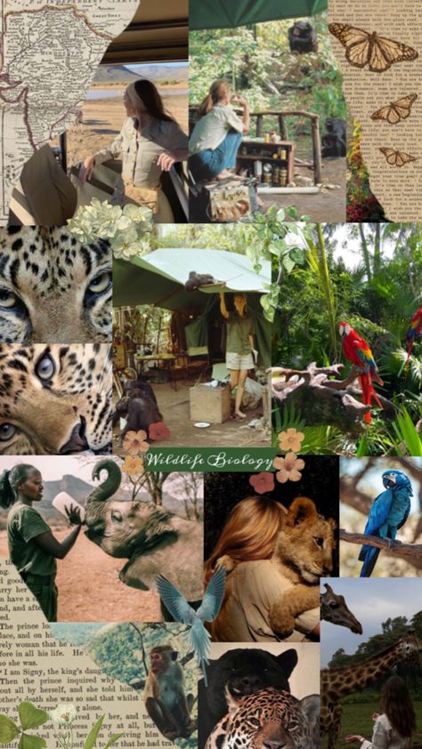 #wildlifebiology Zoology Career, Jobs With Animals, Environmental Science Major, Biology Jobs, Vet School Motivation, Wildlife Biology, Environmental Scientist, Conservation Biology, Wildlife Biologist