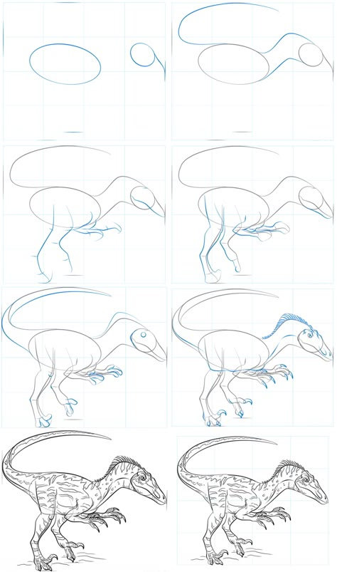 Dinasour Drawing Reference, How To Draw A Velociraptor, Dinosaur Drawing References, How To Draw Dinosaurs Step By Step, How To Draw Dinosaur, Velociraptor Sketch, How To Draw A Dinosaur, Velociraptor Drawing, Dinosaur Tutorial