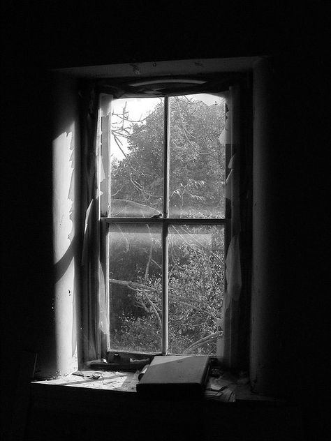 ontheborderland:    The hall seemed very dark, but, getting to the back drawing-room, whose windows command the west, I was again in the same dusky light.   —J. Sheridan Le Fanu, from “Green Tea”  (Image by Dennis) Square Windows, Farmhouse Windows, White Windows, White Barn, Arched Windows, Graphic Wallpaper, Through The Window, Photography Projects, Bw Photo