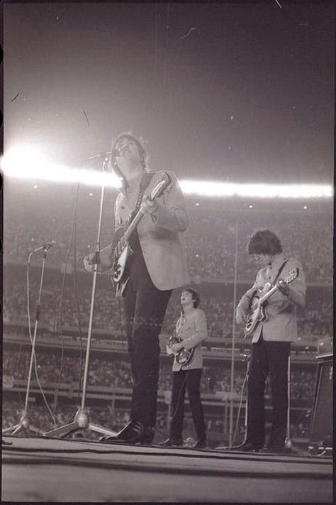 Beatles Shea Stadium, The Beatles Live, Shea Stadium, Chelsea Hotel, Beatles John Lennon, Beatles John, Photographs Of People, The Fab Four, Paul George