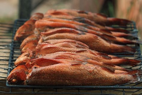 Basic Brine for Smoked Fish - Powered by @ultimaterecipe Smelt Recipe, Fish Brine, Smoked Fish Recipe, Fresh Fish Recipes, Basic Brine, Smoker Cooking, Brine Recipe, Smoked Fish, Cooking 101