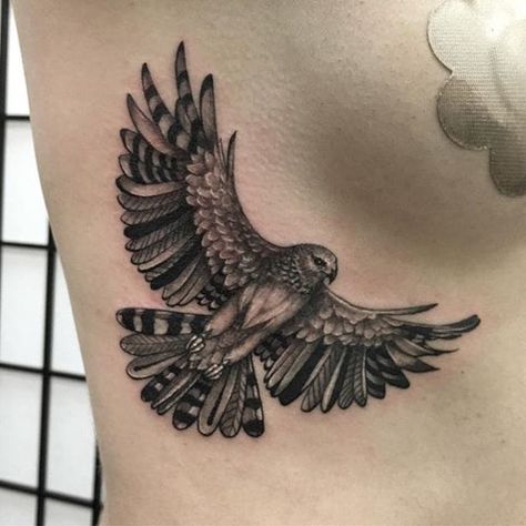 Decorative hawk tattoo by Beau Parkman. #blackandgrey #realism #BeauParkman #bird #decorative #hawk Dotwork Tattoo Mandala, Falcon Tattoo, Adler Tattoo, Vogel Tattoo, Hawk Tattoo, Eagle Tattoos, Eagle Tattoo, Stomach Tattoos, Bird Tattoo