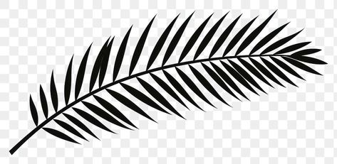 Tree Leaf Drawing, Patch Work Tattoo, Palm Tree Plant, Work Tattoo, Leaf Silhouette, Leaf Drawing, Black And White Illustration, Tree Leaves, Plant Pattern