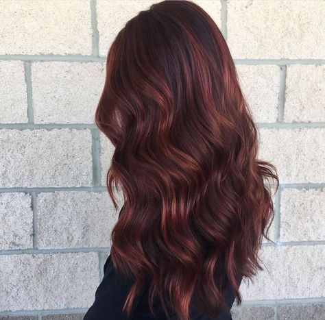 Red Cinammon Hair, Dark Brown Auburn Hair, Chocolate Auburn Hair, Deep Auburn Hair, Red Balayage Hair, Dark Auburn Hair, Chestnut Hair, Hair Color Auburn, Hair Shades