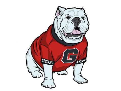 GO DAWGS!! UGA's favorite bulldog. Available for purchase on RedBubble. Bulldog Drawing, Uga Bulldogs, Bulldog Mascot, Go Dawgs, Redbubble Stickers, Altered Books, Tumbler Designs, Sublimation Designs, Game Day