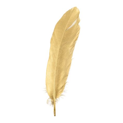 a piece of golden down feather Golden Feather, Transparent Image, School Art Projects, Down Feather, Png Transparent, Free Png, Png Image, Stock Footage, Feathers