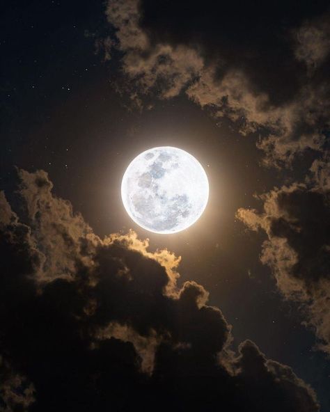 Full Moon Pictures, Moon Core, Moon Pics, Moon Lover, The Moon Is Beautiful, Moon Photos, Moon Pictures, Moon Photography, Super Moon