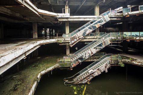 Abandoned Malls, Dead Malls, Amazing Aquariums, Photographie Portrait Inspiration, Belem, Urban Exploration, Abandoned Buildings, Abandoned Houses, End Of The World