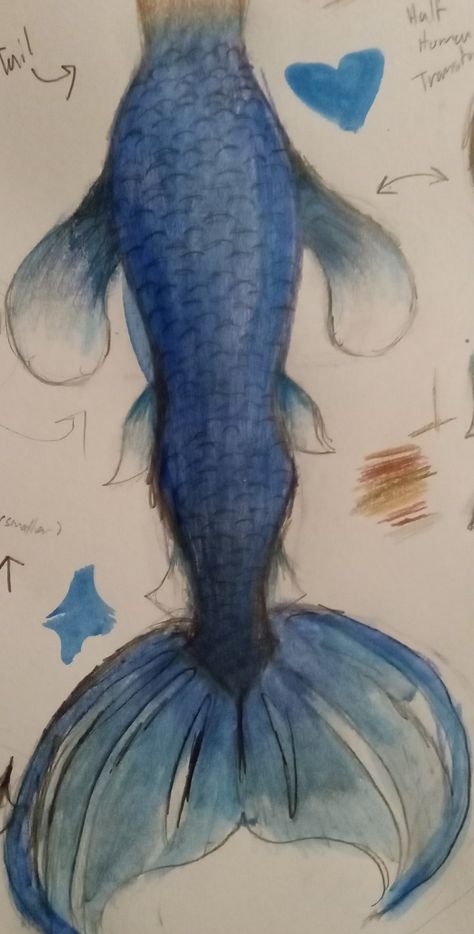 Credits=me Aesthetic Mermaid Drawing, Drawing Mermaid Tails, Mermaid Tail Painting, Paint Mermaid Tail, Mermaid Tail Drawing, Mermaid Tail Coming Out Of Water Drawing, Siren Mermaid, Mermaid Drawings, Fantasy Drawings