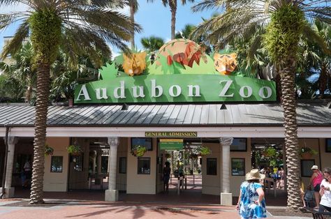 The Audubon Zoo is a great, fun way to spend a day in New Orleans! #NOLA New Orleans With Kids, Zoo Tickets, Marie Laveau, Zoo Lights, Louisiana History, Visit New Orleans, Southern Life, School Decor, New Orleans Travel