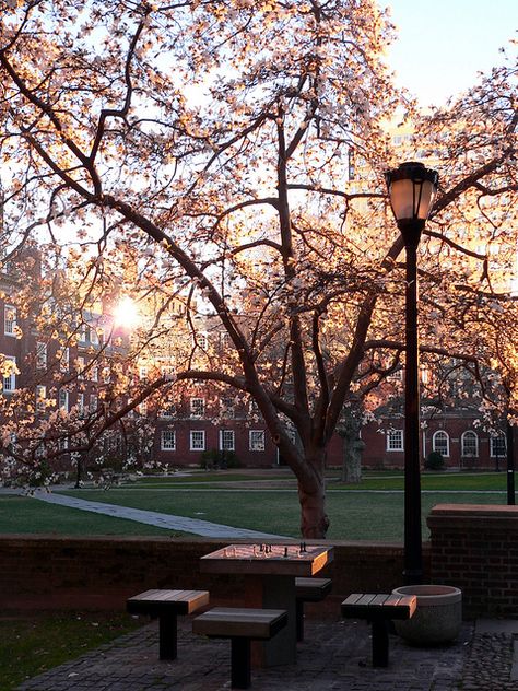 Collage Campus, Aesthetics Collage, Parking Plan, College Aesthetic, Dream College, Dream School, University Life, Yale University, College Park