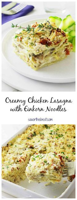 Creamy chicken lasagna with einkorn noodles, mushrooms and sun dried tomatoes with crunchy topping. Einkorn Noodles, Chicken And Broccoli Lasagna, Noodles Mushrooms, Creamy Chicken Lasagna, Broccoli Lasagna, Ricotta Chicken, Einkorn Recipes, Einkorn Flour, Low Carbohydrate Recipes