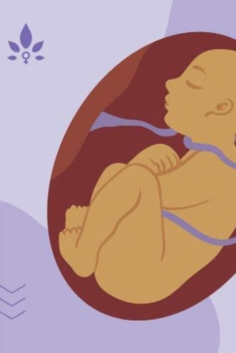 All About Nuchal Cords  (baby’s umbilical cord becomes wrapped around their neck in the womb) Fetal Heart Rate, Umbilical Cord, Cord Wrap, Labor And Delivery, Prenatal, Ultrasound, Genetic, Heart Rate, Health Problems