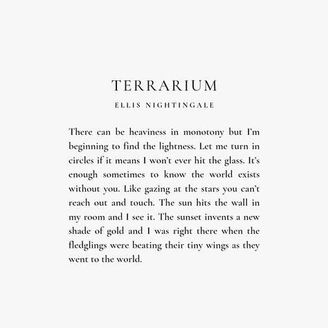 Poem by Ellis Nightingale entitled Terrarium. Nightingale Book Aesthetic, The Nightingale Quotes, Ellis Nightingale Poetry, Ode To A Nightingale John Keats, Simple Poetry, Poetic Quotes, The Nightingale, Lang Leav, Poetic Quote