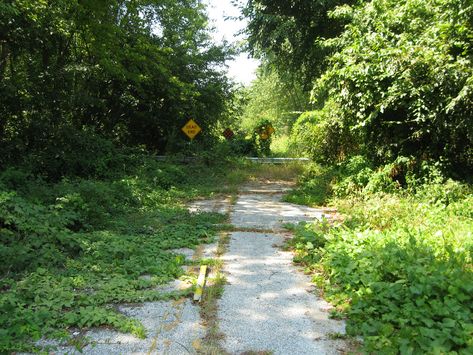 Abandoned Road Aesthetic, Overgrown Apocalypse, Abandoned Road, Road Drawing, Farm Town, Truss Bridge, Abandoned Town, Dangerous Roads, Road Bridge