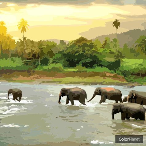 Coloring picture A herd of elephants with games oil painting colorplanet Elephant Sketch, Coloring Games, Africa Painting, Elephant Wallpaper, Herd Of Elephants, Safari Art, Wpap Art, Elephant Pictures, Elephant Illustration