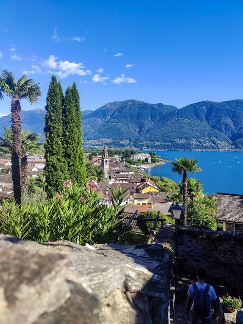 Hiking Route: Ascona To The Balladrum Viewpoint - Together In Switzerland Ticino Switzerland, Italian Lakes, Hiking Routes, Switzerland Travel, Beautiful Forest, Adventure Park, Day Hike, Easy Going, Walking In Nature