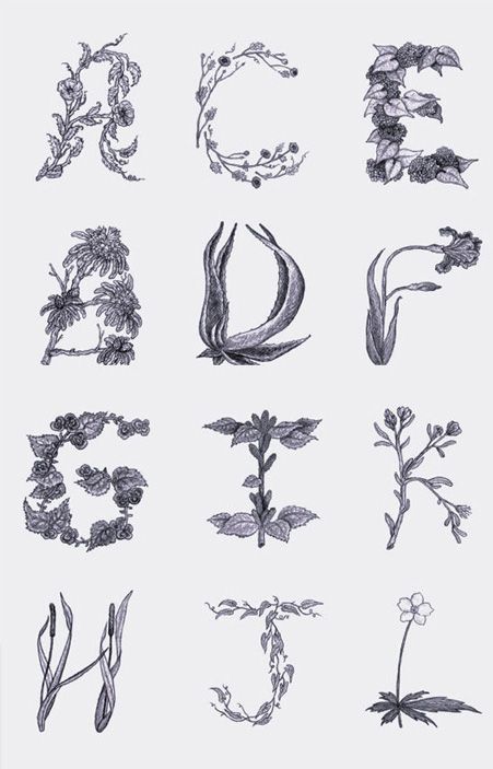 25 Inspirational Typography Projects You Don't Want to Miss Typography With Flowers, Floral Typeface, Botanical Font, T Typography, Typography Projects, Historical Fonts, Botanical Alphabet, Victorian Fonts, Old Fashioned Fonts