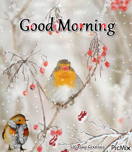 Good morning Good Morning Snowy Day, Snowy Good Morning, Good Morning Winter Images, Good Morning Sister Quotes, Good Morning Animals, Good Morning Winter, Good Morning Christmas, Morning Christmas, Morning Winter