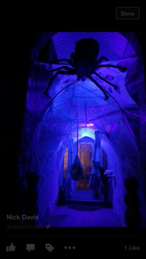 Scary Halloween Entryway, Haunted House Spider Room, Scary Entryway Halloween, Spider Cave Halloween, Spider Haunted House, Spider Room Haunted House, Spider Haunted House Ideas, Halloween Entryway Outdoor, Spider Tunnel Halloween