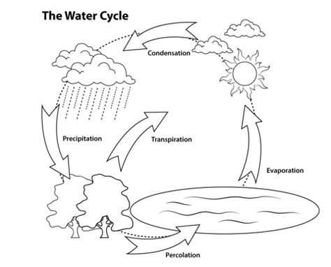 Simple Water Cycle Printable Coloring Page Water Cycle Coloring Page, Water Cycle For Kids, Water Cycle Project, Water Cycle Diagram, Hydrological Cycle, Water Cycle Activities, Cycle Pictures, Water Cycle Worksheet, Cycle Drawing