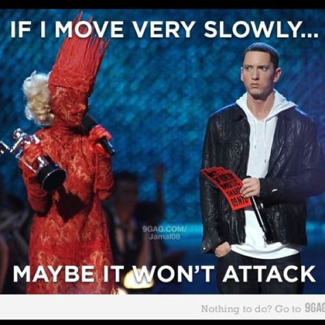 Lady Gaga and Eminem... hahaha I feel ya, Eminem. (I'm not gonna lie, this made me laugh out loud!) Reaction Faces, Eminem Memes, Eminem Funny, Eminem Quotes, The Real Slim Shady, Eminem Slim Shady, Throwing Shade, Rap God, Reaction Face