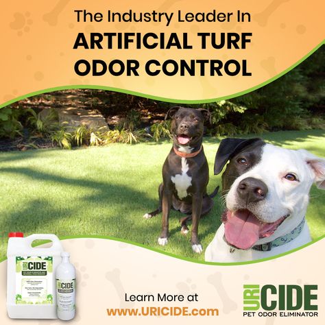 home remedies for urine odors on turf, artificial turf, lawn care tips, lawn care ideas, best way to get rid of dog pee smells in yard Urine Odor Remover, Remove Urine Smell, Pet Urine Smell, Installing Artificial Turf, Pet Odor Eliminator, Urine Odor, Urine Smells, Pet Smell, Dog Urine