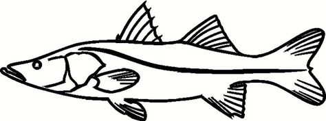 Snook Coloring Fish Pages Sketch Coloring Page