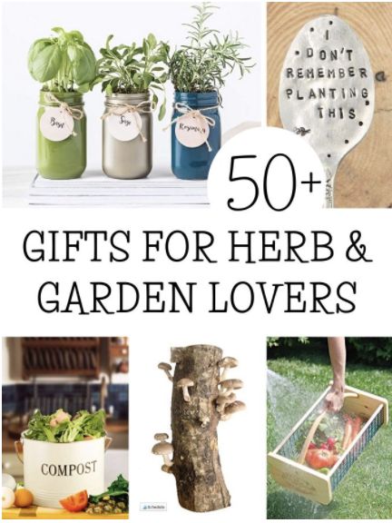 Herbal Diy, Herbs Medicine, Diy Natural Beauty Recipes, Herb Gifts, Gifts For Gardeners, Avocado Plant, Creative Gift Ideas, Medicinal Herbs Garden, Medicinal Herb