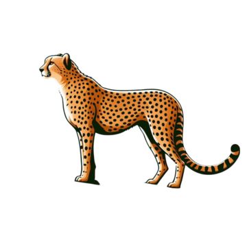 Cheetah Outline, Cheetah Cartoon, Cheetah Illustration, Cartoon Png Transparent, Outline Cartoon, Wolf With Blue Eyes, Watercolor Nursery Animals, Cheetah Drawing, Brave Animals