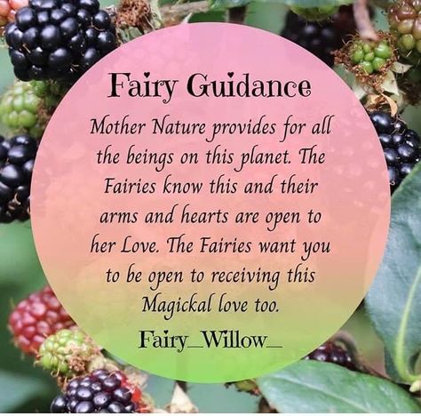 Fairy Spells Witchcraft, Fae Witchcraft, Fae Magick, Fairy Mythology, Fairy Spells, Fairy Quotes, Faerie Aesthetic, Earth Fairy, Magic Land