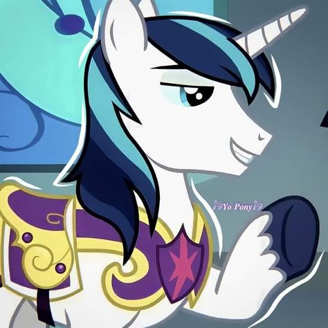 Shining Armor Mlp, My Little Pony Boys, Male Horse, Mlp Icons, Knight In Shining Armor, Boy Character, Mlp Pony, Baboon, Smash Cake