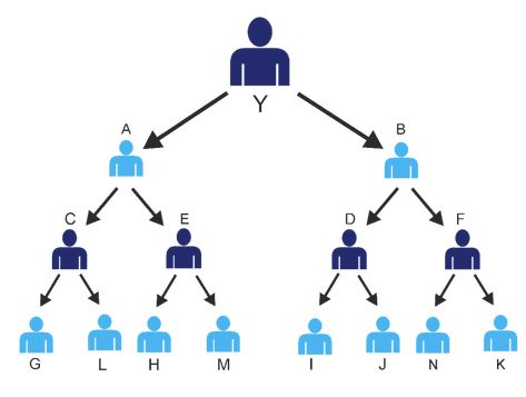 Binary MLM Compensation Plan, MLM Software & How it works? : LETSCMS PVT. LTD. Multi Level Marketing Business, Mlm Plan, Binary Tree, Mlm Companies, Mlm Business, Network Marketing Business, Business Software, Affiliate Marketing Programs, Direct Selling