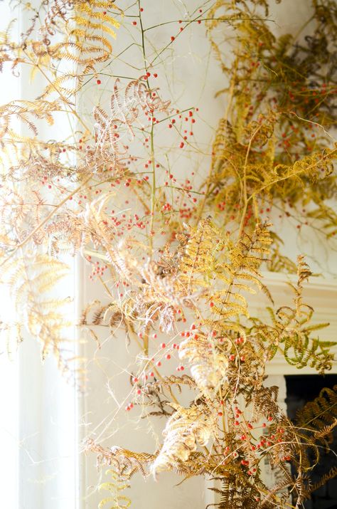 Fern Wedding Decor, Autumn Arrangements, Foliage Wall, Fern Wedding, Autumn Cottage, Asparagus Fern, Floral Chandelier, Autumn Display, Picture Hook