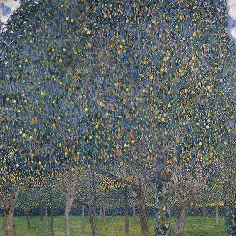 Pear Tree, 1903, Klimt. Klimt Apple Tree, Harvard Art Museum, Pear Trees, Art Classique, Pear Tree, Tree Canvas, Caravaggio, Classical Art, Gustav Klimt