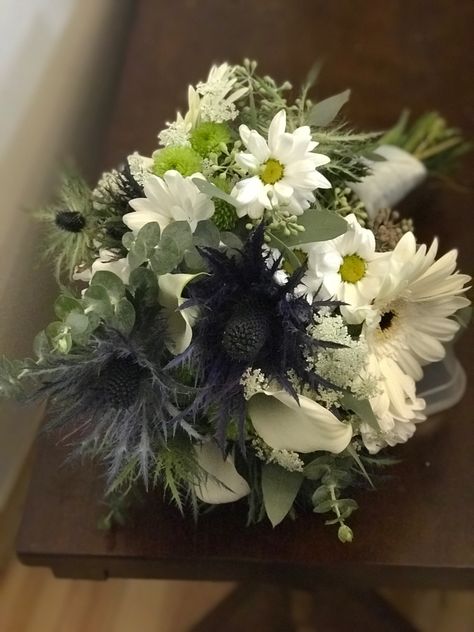 Thistle, daisies, eucalyptus, Gerber daisies, green “Kermit “ push button mums. Seeded eucalyptus, queen Ann’s lace. Gerber Daisies, Seeded Eucalyptus, Bride Bouquet, Bride Bouquets, Boutonniere, Push Button, Flower Arrangements, Wedding Flowers, Daisy