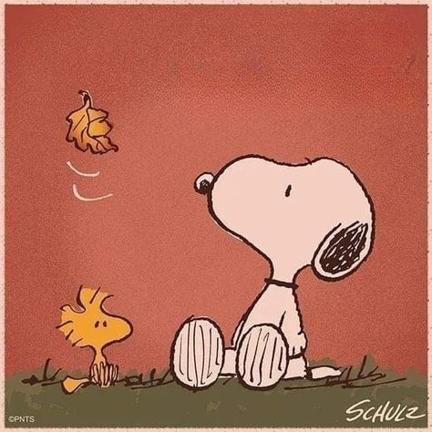 Peanuts Apple Watch Face, Snoopy Halloween Widget, Fall Snoopy Widgets, Snoopy Fall Widget, Snoopy Widget Icon, Woodstock From Snoopy, Fall Snoopy Pfp, Apple Watch Faces Wallpapers Fall, Snoopy Aesthetic Pfp