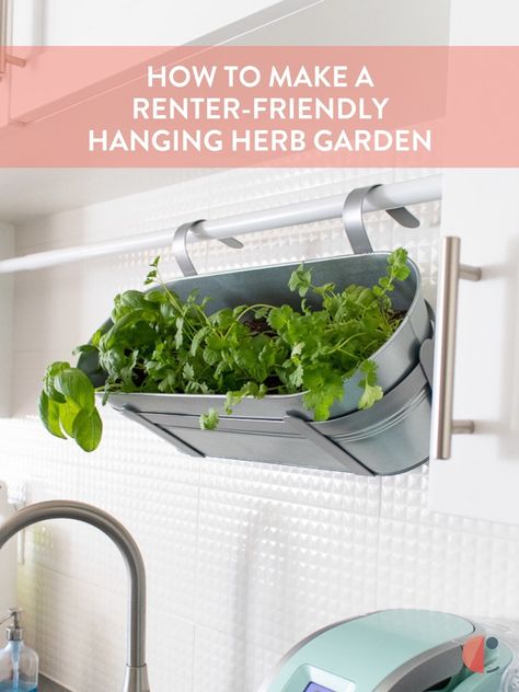 Make a renter-friendly DIY indoor herb garden by hanging a planter box on a tension rod for easy access to herbs while you cook! Diy Indoor Herb Garden, Hanging Herb Gardens, Herb Kitchen, Herb Spiral, Small Herb Gardens, Hanging Herb Garden, Indoor Herb, Herb Gardening, Dry Stone Wall