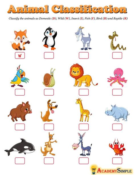 Kinds Of Animals, Animal Classification, Animal Worksheets, Kids Worksheets Preschool, Alphabet Worksheets Preschool, Worksheets Preschool, English Worksheets For Kids, Preschool Arts And Crafts, Learning Worksheets