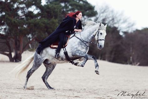 Riding into battle... Me with my PRE Titan, this horse is the best! Insta: nouk.balthazar Facebook: Anouk Korporaal Riding A Horse Pose Reference, Riding Horse Pose, Riding Reference, Person Riding Horse, Horse Riding Photography, Woman And Horse, Trick Riding, Riding A Horse, Horse And Human