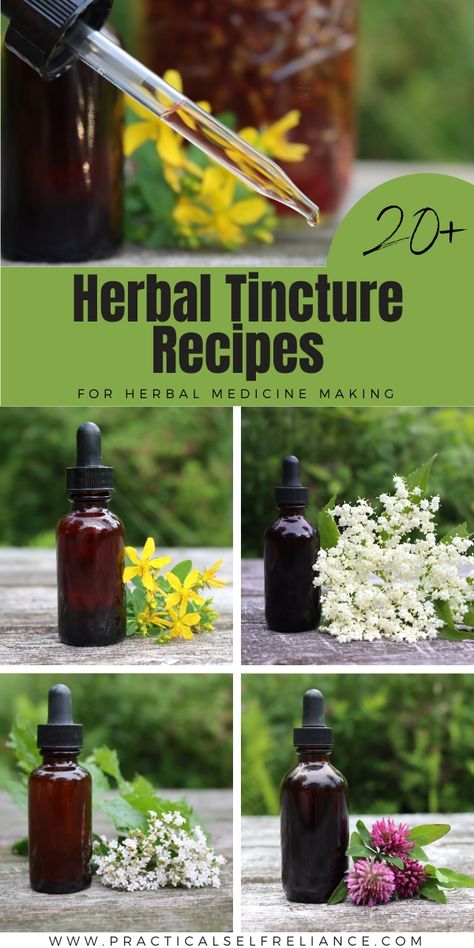 Herbal Tinctures Recipes, Dandelion Tincture, Herbalism For Beginners, Tincture Recipes, Elderberry Tincture, Nettle Tincture, Medicine Recipes, Herb Tinctures, Tinctures Recipes