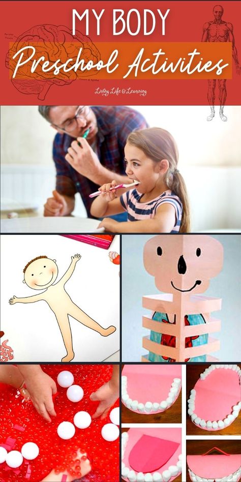 When it comes to teaching preschoolers about their body parts, it's important to use simple, age-appropriate language and engaging activities like these My Body Preschool Activities. These homeschool human body activities will help your kids develop a strong sense of self-awareness and self-care. Body For Preschool Activities, Human Body Craft Preschool, Body Systems Preschool, Body Part Art And Craft Preschool, Self Care Preschool Activities, Human Body Lesson Plans For Preschool, Preschool Human Body Activities, Preschool Body Activities, Human Body Activities For Kids Preschool