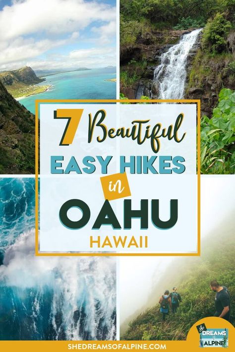 Check out my guest post on She Dreams of Alpine featuring 7 Easy Hikes on Oahu, Hawaii. Oahu Hikes, Hawaii Itinerary, Oahu Vacation, Oahu Travel, Hawaii Travel Guide, Montezuma, Hawaiian Vacation, Hiking Destinations, Backpacking Europe