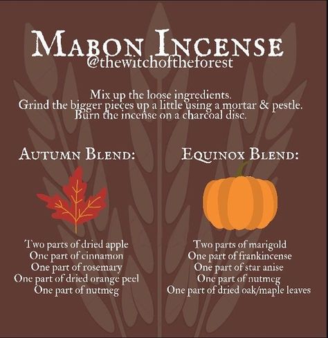 Incense Blends, Fall Smells, Candle Color Meanings, Kitchen Witch Recipes, Solstice And Equinox, Fall Recipes Pumpkin, Dried Orange Peel, Wiccan Spell Book, Mood Colors