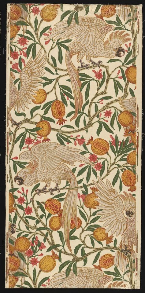 Cockatoo and Pomegranate, 1899 ~ Walter Crane | V&A Search the Collections Medieval Pomegranate, Cockatoo Illustration, Pomegranate Wallpaper, Art Nouveau Wallpaper, Walter Crane, John Everett Millais, Antique Wallpaper, National Art, Arte Inspo