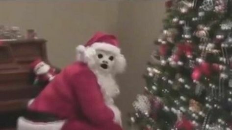 pic of Santa Claus with scary white face Shocked Pikachu, Pikachu Face, Cursed Pictures, Whimsical Santa, Funny Christmas Pictures, Santa Crafts, Christmas Memes, Current Mood Meme, Christmas Tree And Santa