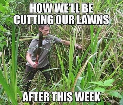 Love this time of year Lawn Care Humor, Rain Humor, Lawn Care Business, Lawn Service, Facebook Humor, Garden Guide, Work Humor, Gardening For Beginners, Backyard Design