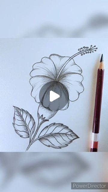 Flower Pencil Drawings Easy, Tropical Leaves Drawing Simple, Drawing Flowers Doodles, Hibiscus Flower Drawing Step By Step, How To Draw A Hibiscus Flower, How To Draw Hibiscus Flower, Hibiscus Flower Drawing Simple, How To Draw Flowers Step By Step, Draw Easy Flowers