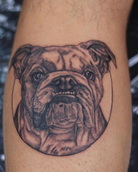 Bull Dog Tattoo, french bulldog tattoo, english bulldog tattoo, traditional bulldog tattoo, usmc bulldog tattoo, marine corp bulldog tattoo, minimalist bulldog tattoo, marine bulldog tattoo, bulldog tattoo ideas, georgia bulldog tattoo, american traditional bulldog tattoo, american bulldog tattoo, angry bulldog tattoo, bulldog tattoo shop, french bulldog tattoo outline, bulldog tattoo designs, marine corps bulldog tattoo, bulldog tattoo parlor,traditional bulldog tattoo flash,mack bulldog tattoo Usmc Bulldog Tattoo, American Bulldog Tattoo, Traditional Bulldog Tattoo, Bulldog Tattoo Ideas, English Bulldog Tattoo, Marine Bulldog, Usmc Bulldog, Tattoo French, Tattoo English