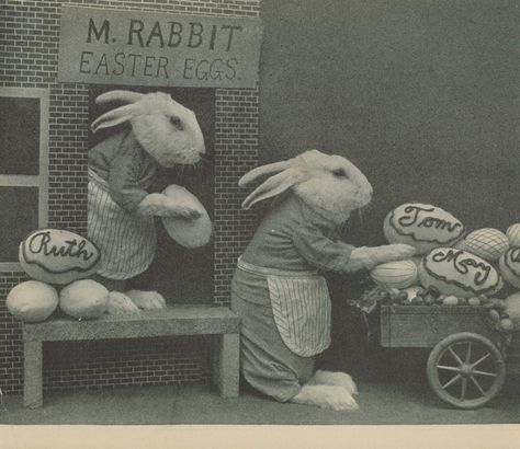 Harry Whittier Frees, Jesus Christ Risen, Easter Hare, Fluffy Rabbit, Resurrection Sunday, Crucifixion Of Jesus, Strange History, Easter Rabbit, Vintage Easter